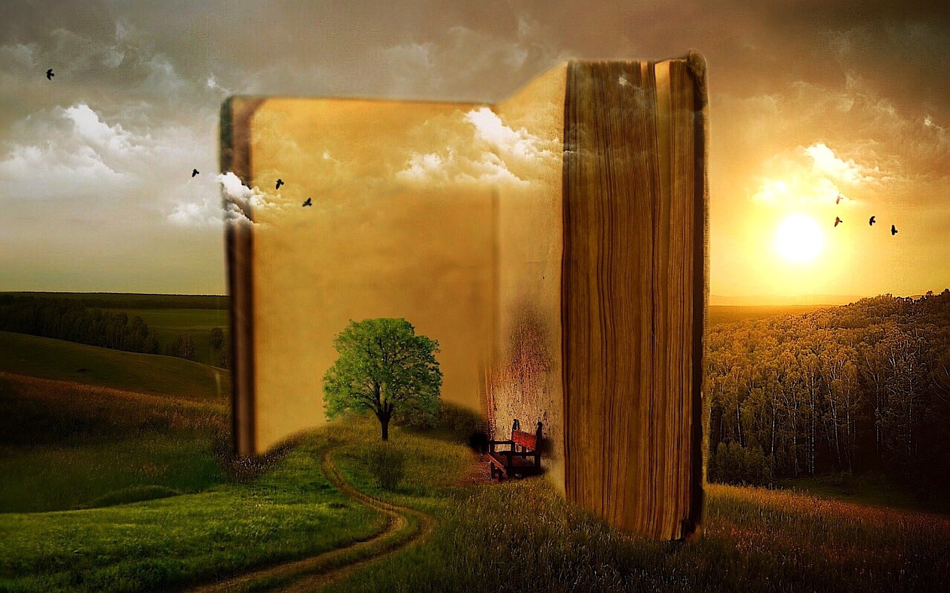 Libro_1 Libro_1